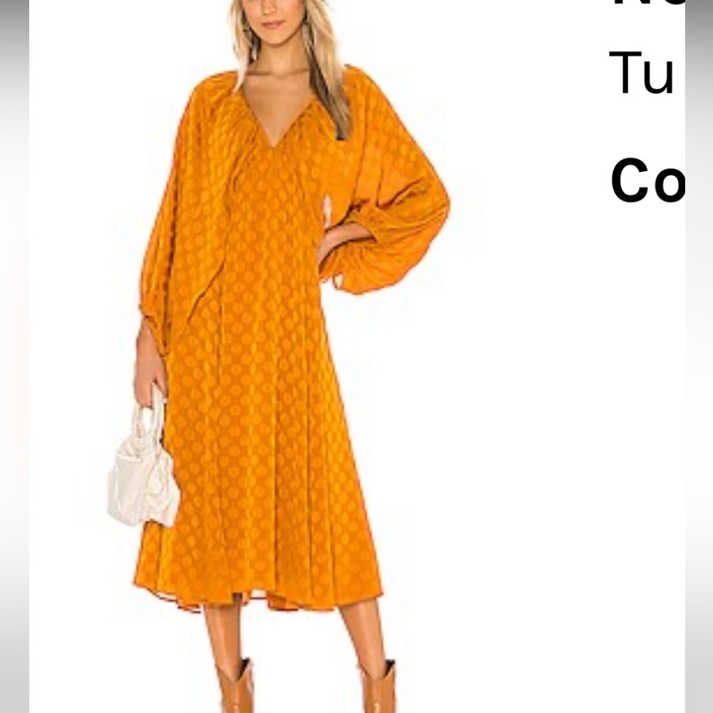 Never worn beautiful tularosa dress